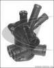 VAICO V10-0370 (V100370) Thermostat Housing