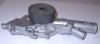 HEPU P167 Water Pump