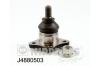 NIPPARTS J4880503 Ball Joint