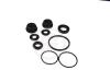 AUTOFREN SEINSA D1129 Repair Kit, brake master cylinder