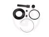 AUTOFREN SEINSA D4559 Repair Kit, brake caliper