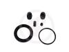 AUTOFREN SEINSA D4638 Repair Kit, brake caliper