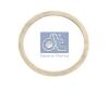DT 2.10055 (210055) Shaft Seal, crankshaft