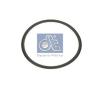 DT 2.15918 (215918) Gasket, water pump