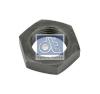 DT 3.13065 (313065) Replacement part