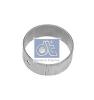 DT 5.40170 (540170) Camshaft Bushes