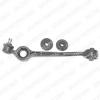 DELPHI TC351 Track Control Arm