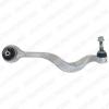 DELPHI TC1391 Track Control Arm