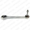 DELPHI TC1342 Track Control Arm