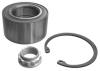 NK 763319 Wheel Bearing Kit