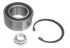NK 763306 Wheel Bearing Kit