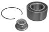 NK 753916 Wheel Bearing Kit
