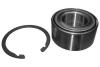 NK 753407 Wheel Bearing Kit