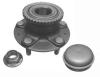 NK 763221 Wheel Bearing Kit