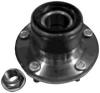 NK 763006 Wheel Bearing Kit