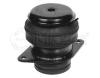 MEYLE 1001990057 Engine Mounting