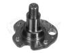 MEYLE 1005010029 Stub Axle, wheel suspension