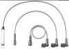 BERU 0900301067 Ignition Cable Kit