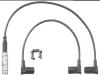 BERU 0900301069 Ignition Cable Kit