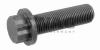 SWAG 32923042 Pulley Bolt