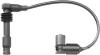 BERU 0300891160 Ignition Cable Kit