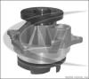 VAICO V25-50011 (V2550011) Water Pump