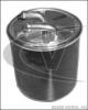VAICO V30-8172 (V308172) Fuel filter
