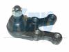 KAVO PARTS SBJ-3022 (SBJ3022) Ball Joint