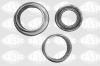 SASIC 1005117 Repair Kit, ball joint