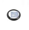 DT 2.17101 (217101) Replacement part