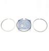 DT 2.90081 (290081) Piston Ring Kit