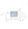 DT 2.91200 (291200) High Pressure Pipe Set, injection system