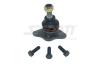 SPIDAN 40554 Ball Joint