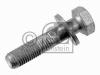 FEBI BILSTEIN 18396 Screw
