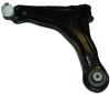 NK 5013339 Track Control Arm