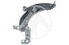 SIDEM 19171 Track Control Arm