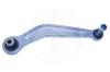 SIDEM 21673 Track Control Arm