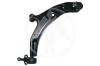SIDEM 41173 Track Control Arm