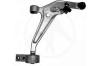 SIDEM 41175 Track Control Arm