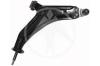 SIDEM 65077 Track Control Arm