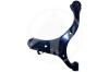 SIDEM 87178 Track Control Arm