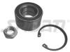 SPIDAN 27099 Wheel Bearing Kit