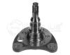 MEYLE 1005010011 Stub Axle, wheel suspension