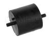 MEYLE 3001181120 Engine Mounting