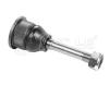 MEYLE 3160104345 Ball Joint