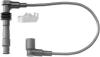 BERU 0300891157 Ignition Cable Kit