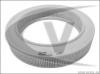 VAICO V10-0607 (V100607) Air Filter