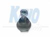 KAVO PARTS SBJ-6501 (SBJ6501) Ball Joint