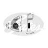 GATES T36018 Tensioner Pulley, v-ribbed belt