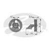 GATES T36109 Deflection/Guide Pulley, v-ribbed belt